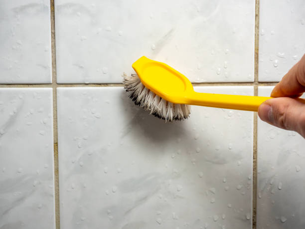 Best Attic Mold Removal  in Yorktown Heights, NY