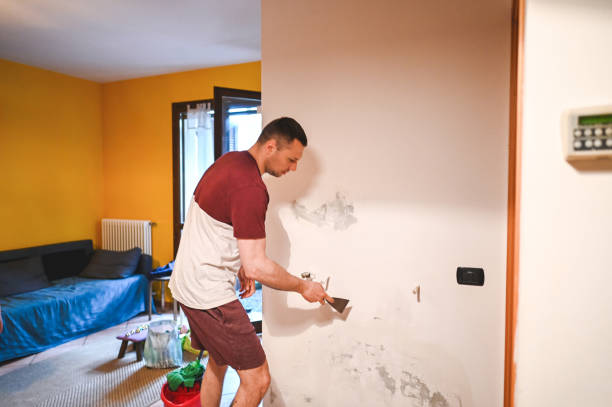 Best Black Mold Removal  in Yorktown Heights, NY